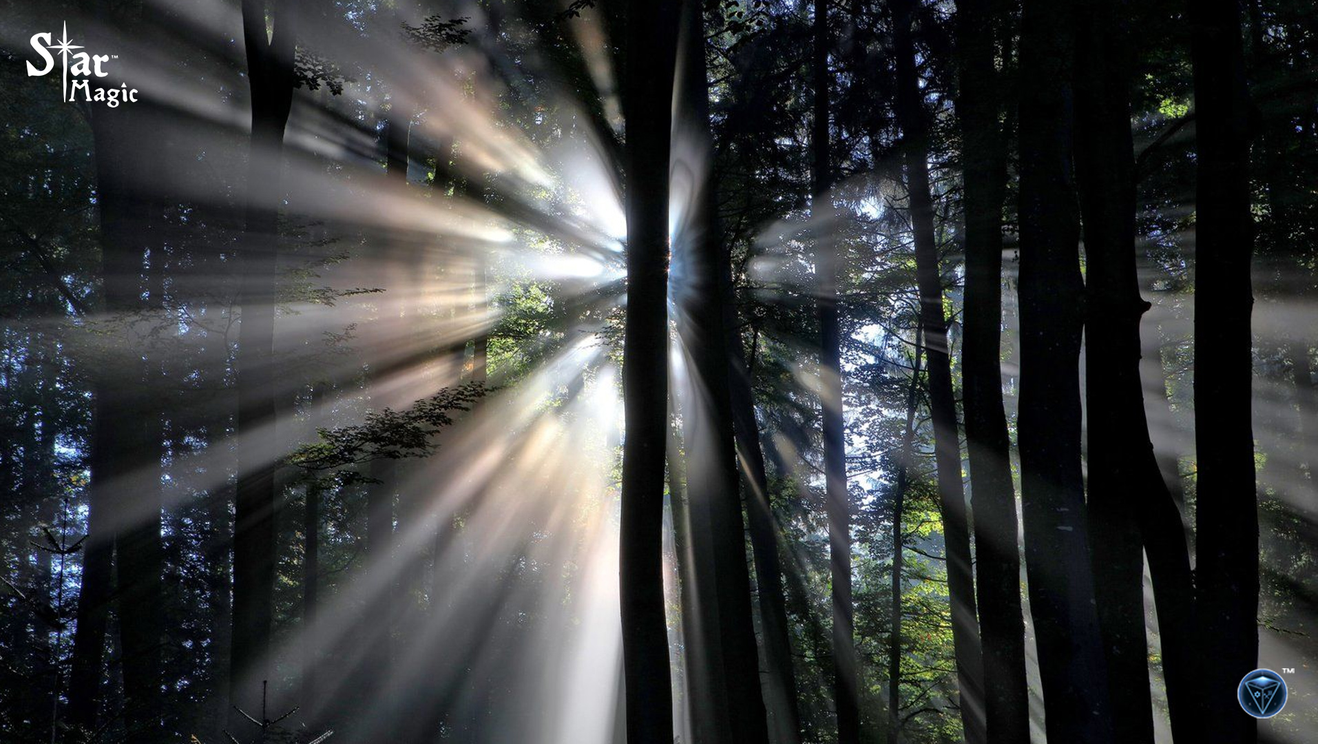 Springing Into Nature
